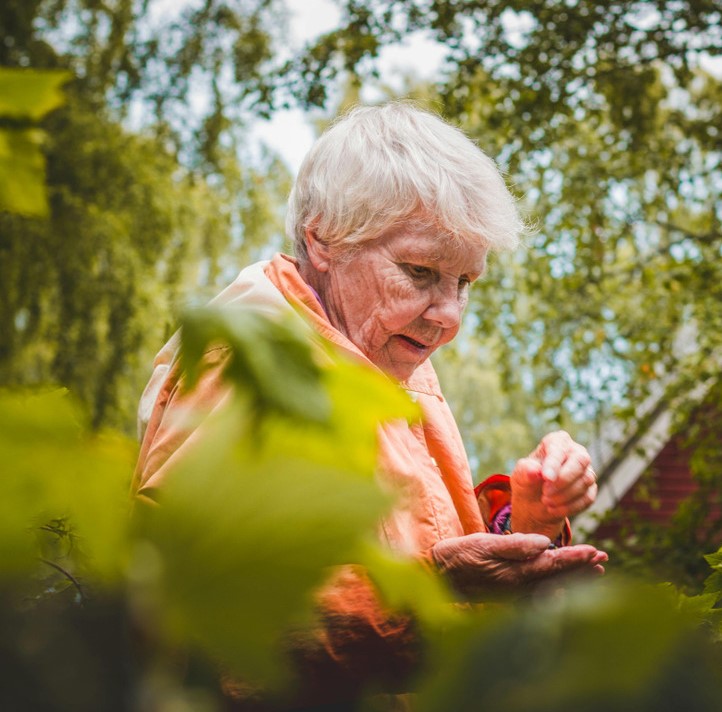 10 Touching Stories That Reveal the Extraordinary Love of Grandparents